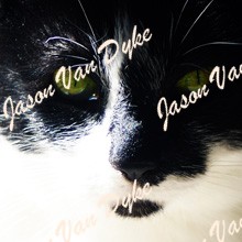 Jasper the Cat